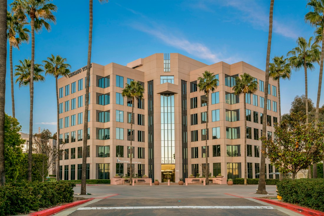 Office building lined with palm trees